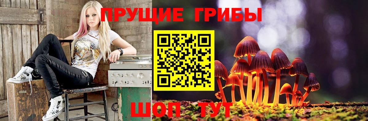 Галлюциногенные грибы мицелий Рославль
